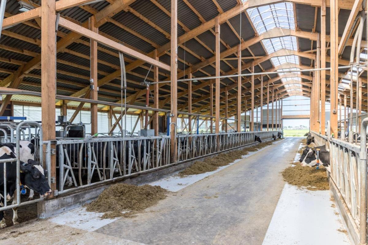 Friesenhof Janssen - Urlaub Auf Dem Bauernhof Apartment Neuharlingersiel Bagian luar foto